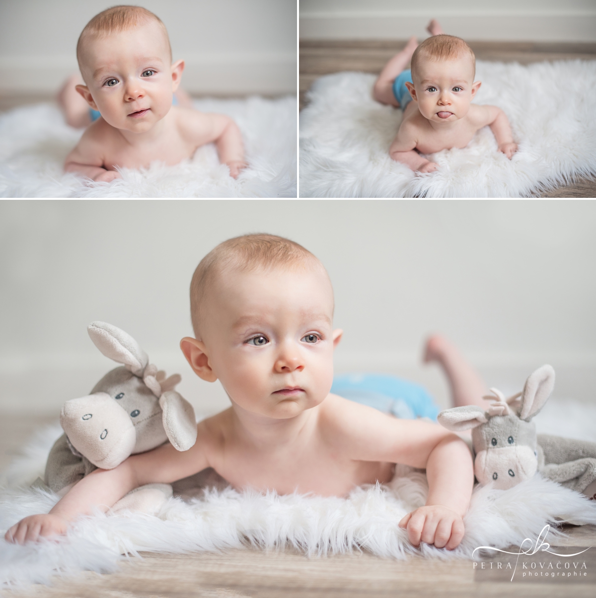 Réaliser une Séance Photos Bébé 2-6 mois