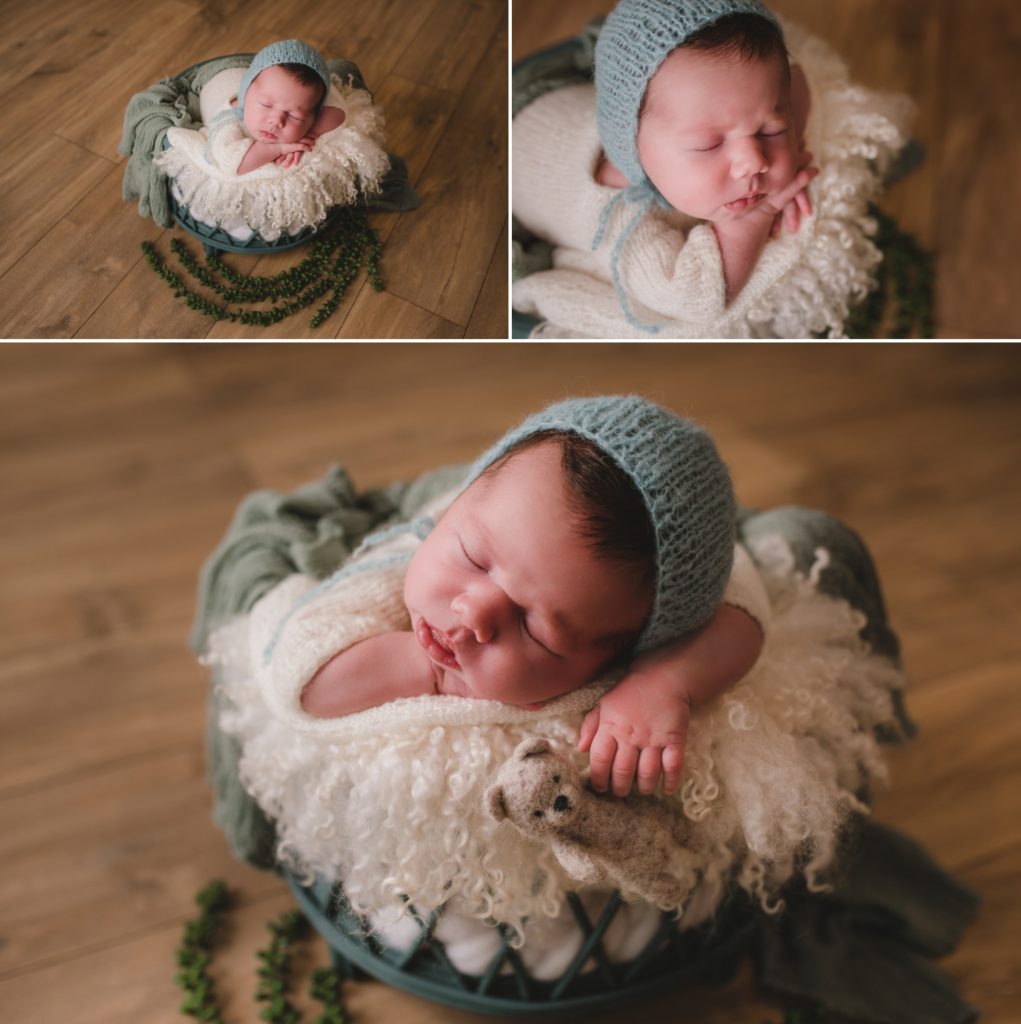photos de bébés dans un panier